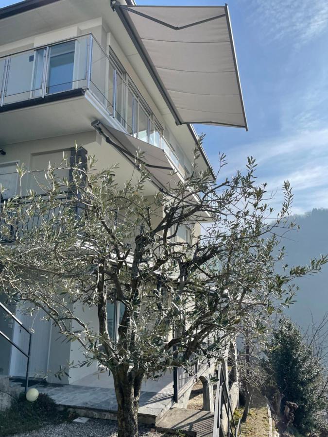 Casa Colmegna Mit Traumhaften See- Und Bergblick Luino Buitenkant foto