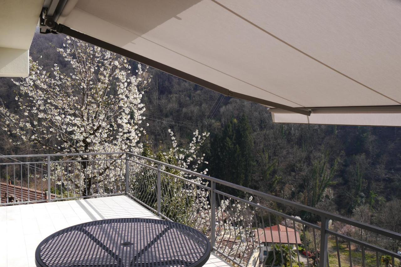 Casa Colmegna Mit Traumhaften See- Und Bergblick Luino Buitenkant foto